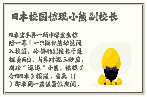 30分钟激励短片视频素材